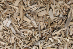 biomass boilers Llanycefn